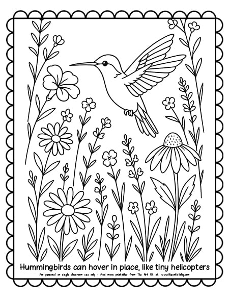 A hummingbird among wildflowers in a meadow coloring page printable