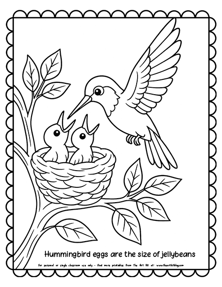 Two tiny baby hummingbirds in a nest getting food coloring page