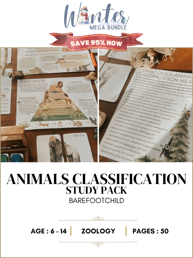 Animals Classification - The Art Kit