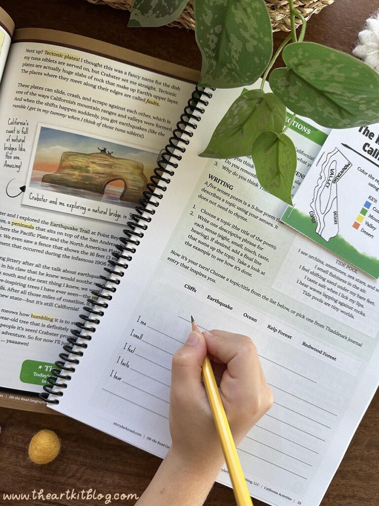 homeschool-states-curriculum-elementary