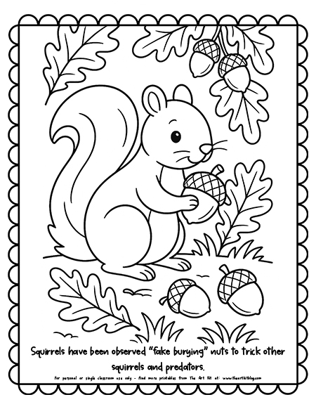 Squirrel And Acorn Scene With Interesting Facts Coloring Pages