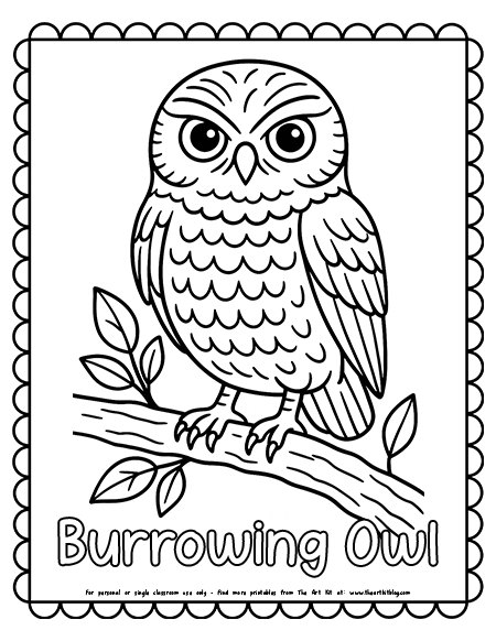 Burrowing Owl Coloring Pages