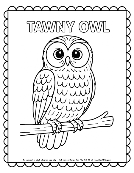 Tawny Owl Coloring Page
