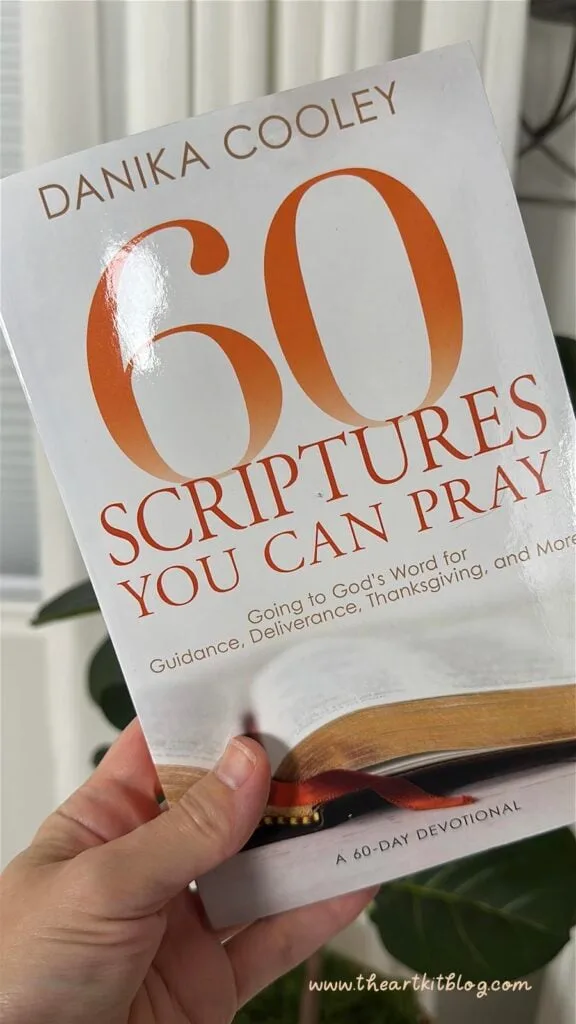 60-days-book-review-danika-cooley