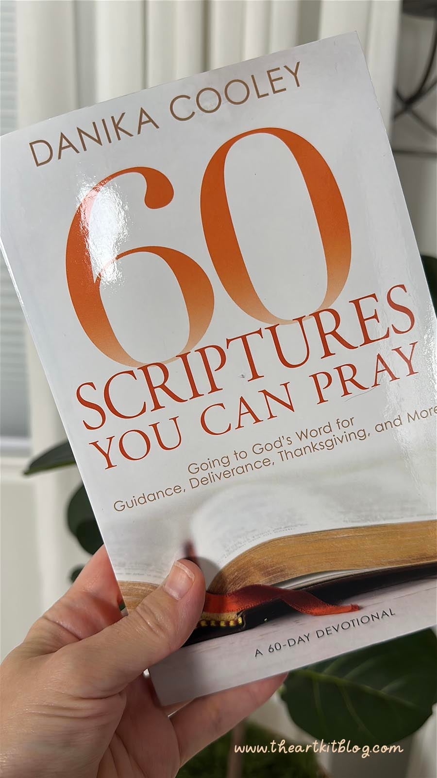 60-days-book-review-danika-cooley