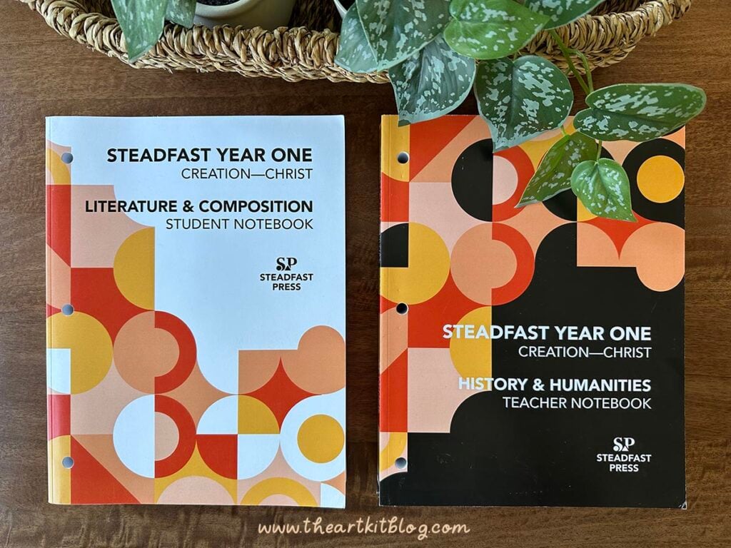 steadfast-curriculum-review