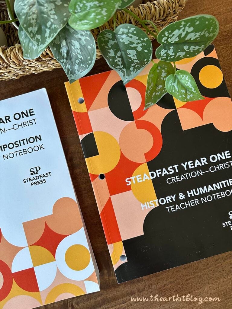 steadfast-high-school-curriculum-review