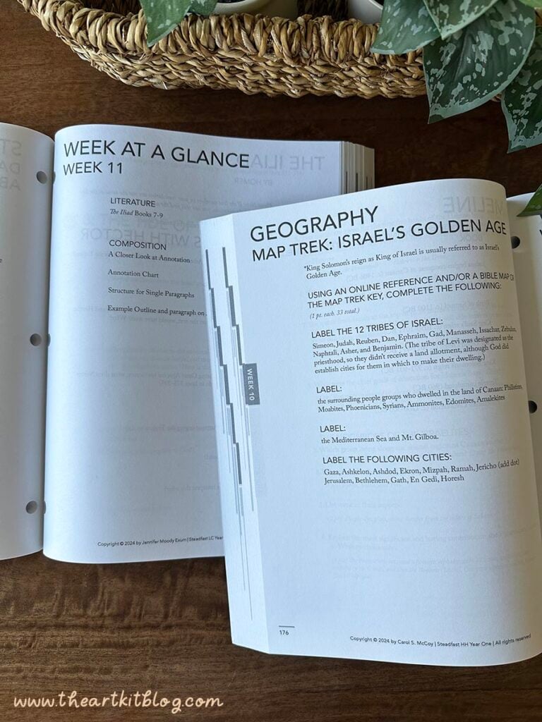 steadfast-high-school-curriculum-review-christian