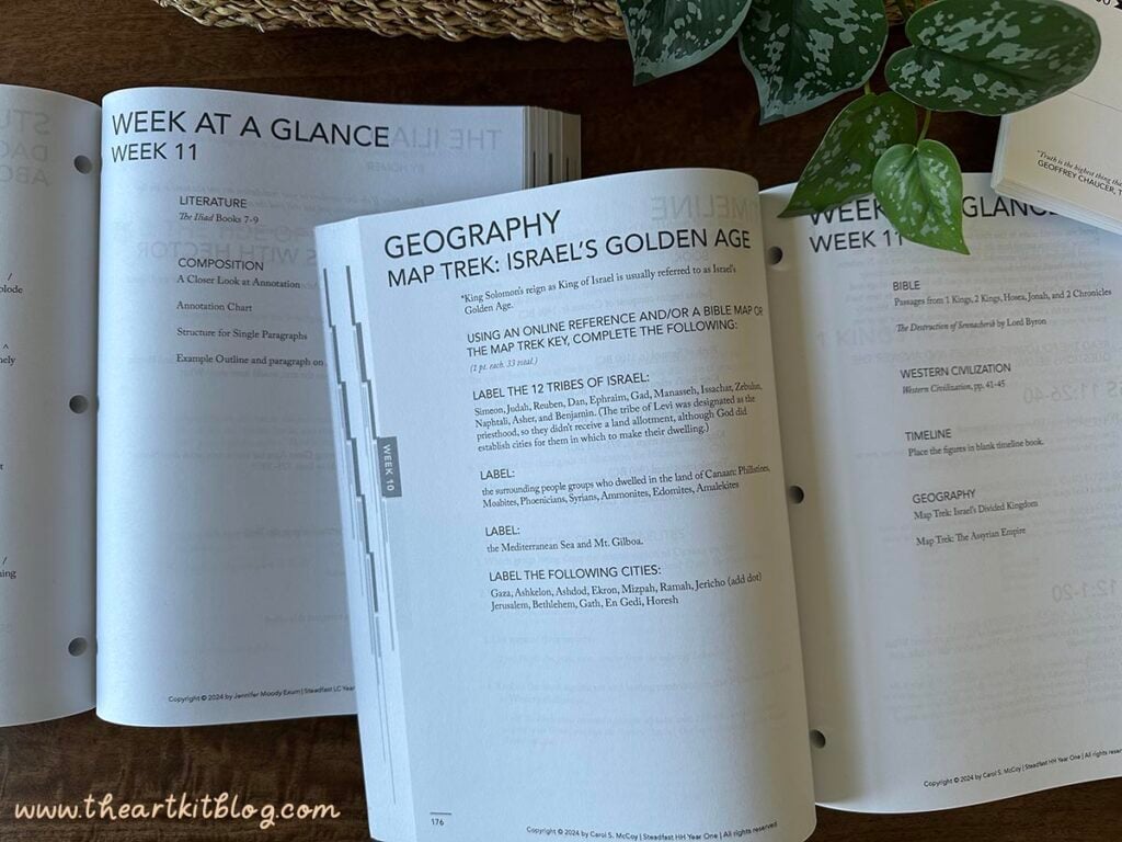 steadfast-press-homeschool-curriculum